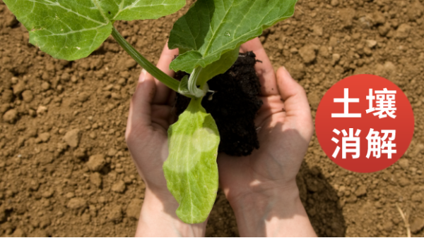 消解電熱板應（yīng）用於土壤重金屬檢測預處理的步驟操作（zuò）