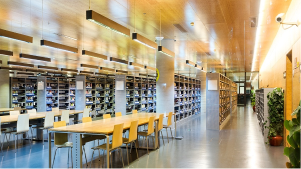 教育部高（gāo）度重視：現代教育發展離不開科學儀器，其促進作用不容忽視