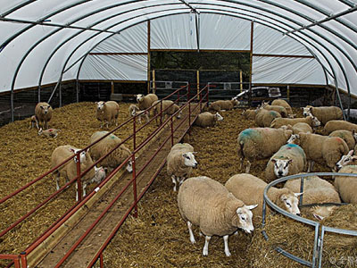 環境監（jiān）測