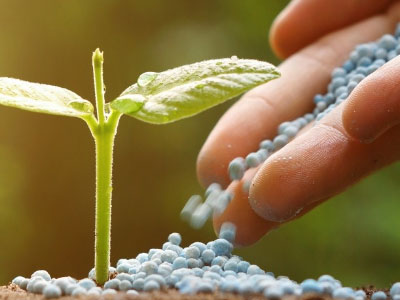 農業（yè）食品檢驗