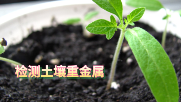 實驗室土（tǔ）壤重金屬檢測全（quán）流程（chéng）