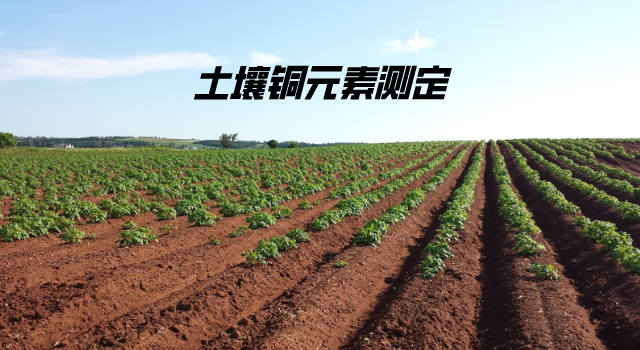 土壤銅元素測（cè）定