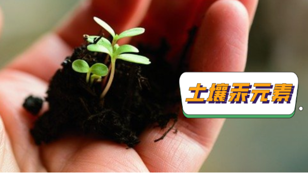 產（chǎn）品（pǐn）應用丨石墨消解+原子熒光光譜法測定土（tǔ）壤中的汞