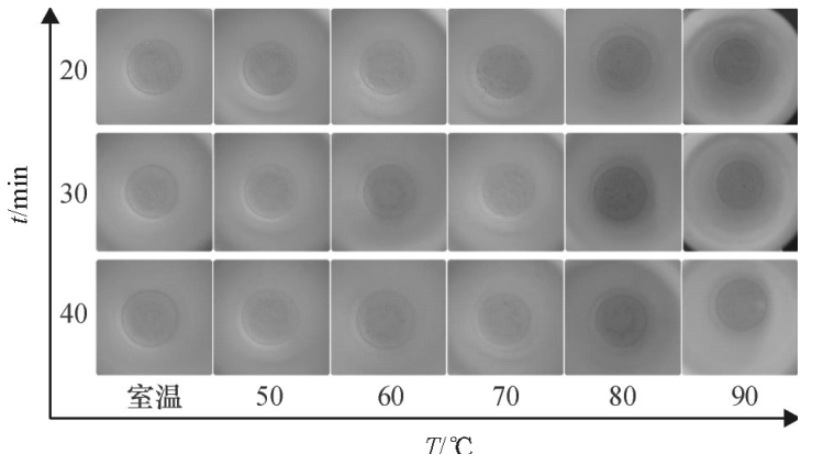 圖6不同密閉消解時間、不（bú）同水浴溫度的消解效果