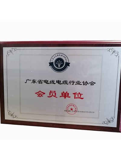 羞羞视频在线（dé）科學-廣東省電線電纜行（háng）業協會會員