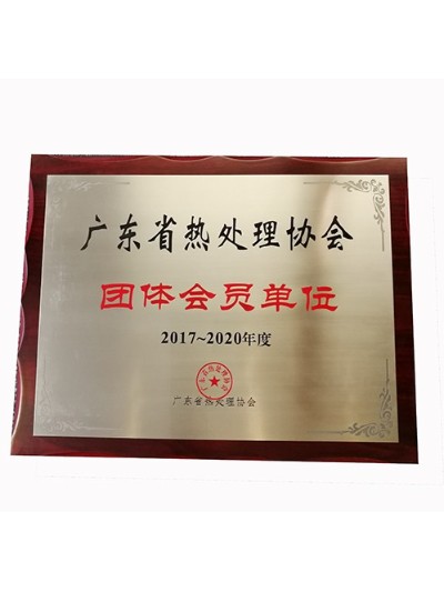 羞羞视频在线科學-廣東省（shěng）熱處理協會會員