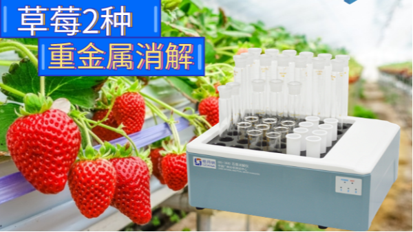 石墨消解儀實驗分析丨（shù）草莓有哪些重金屬需要注意