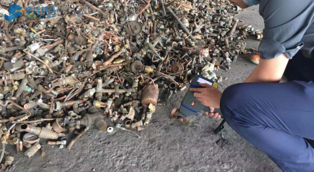 手持光譜儀現（xiàn）場檢測（cè）