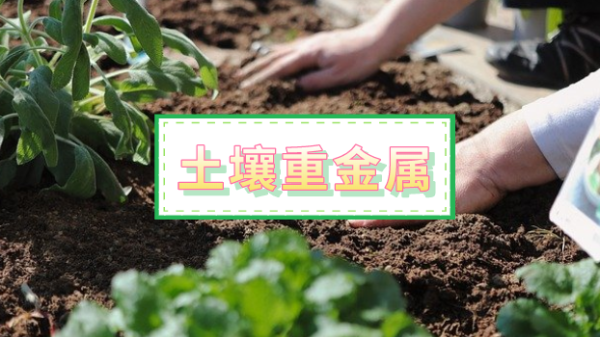 全自動消解儀應用丨改進方法比較土壤重（chóng）金屬元素測定